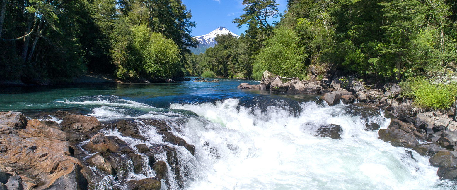 let us know your thoughts about Chile and we will help you create the perfect safari