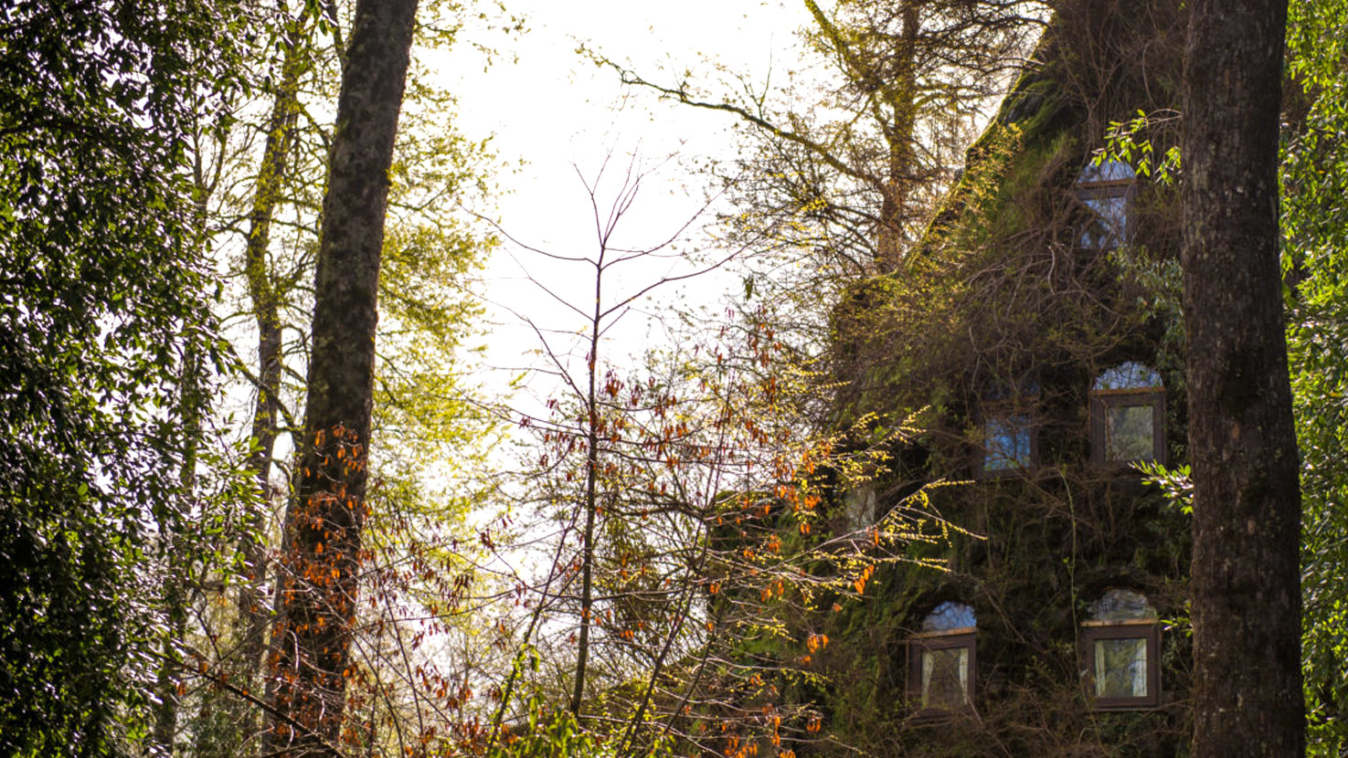 Montana Magica Lodge