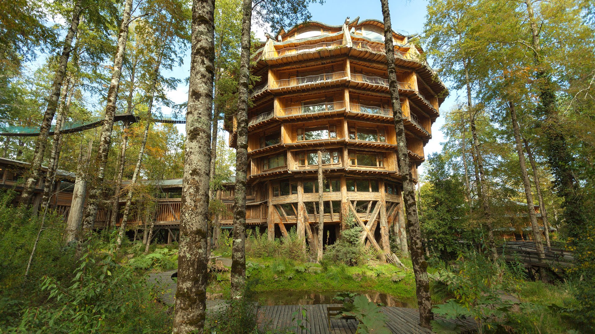 Nothofagus Hotel