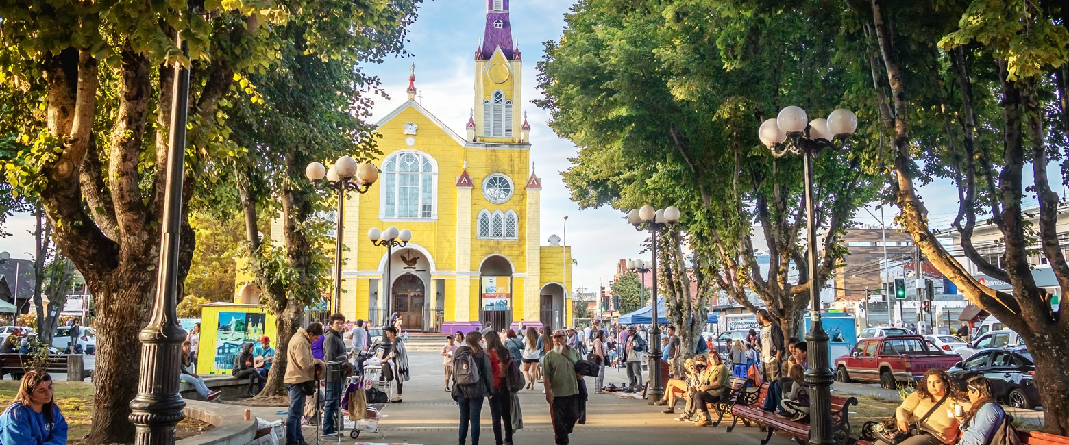 let us know your thoughts about Chile and we will help you create the perfect safari 
