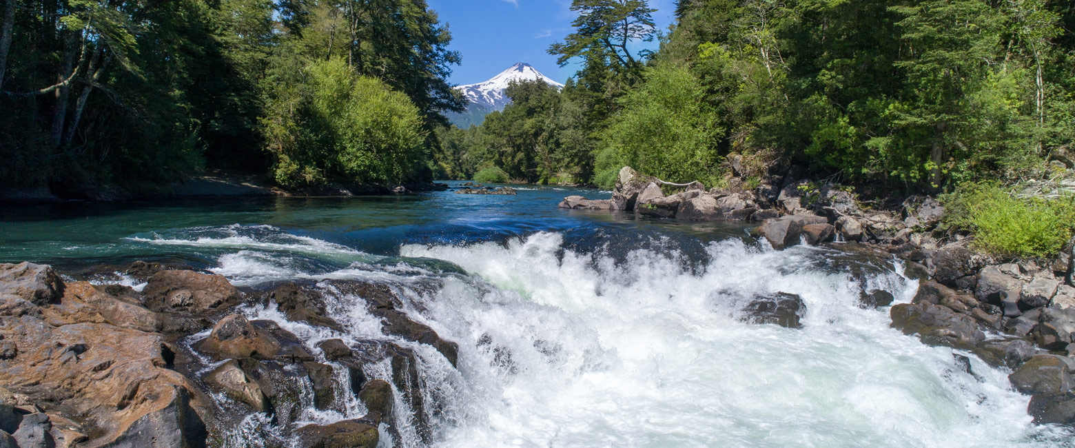 let us know your thoughts about Chile and we will help you create the perfect safari 