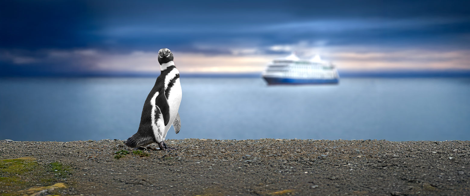 let us know your thoughts about Chile and we will help you create the perfect safari 