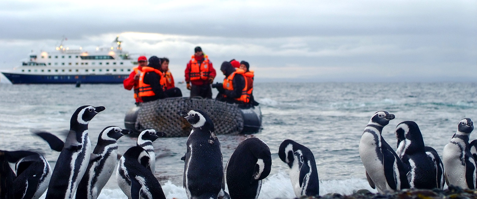 let us know your thoughts about Chile and we will help you create the perfect safari