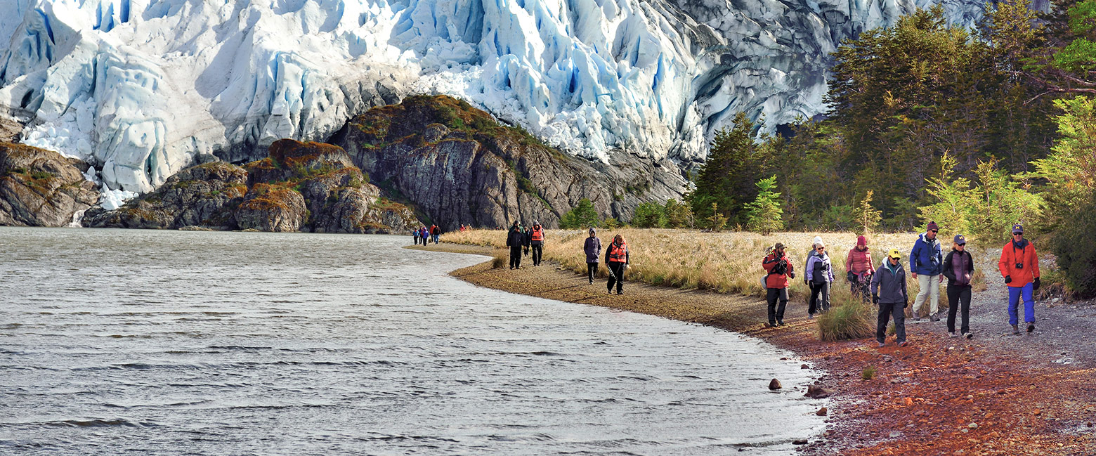 let us know your thoughts about Chile and we will help you create the perfect safari