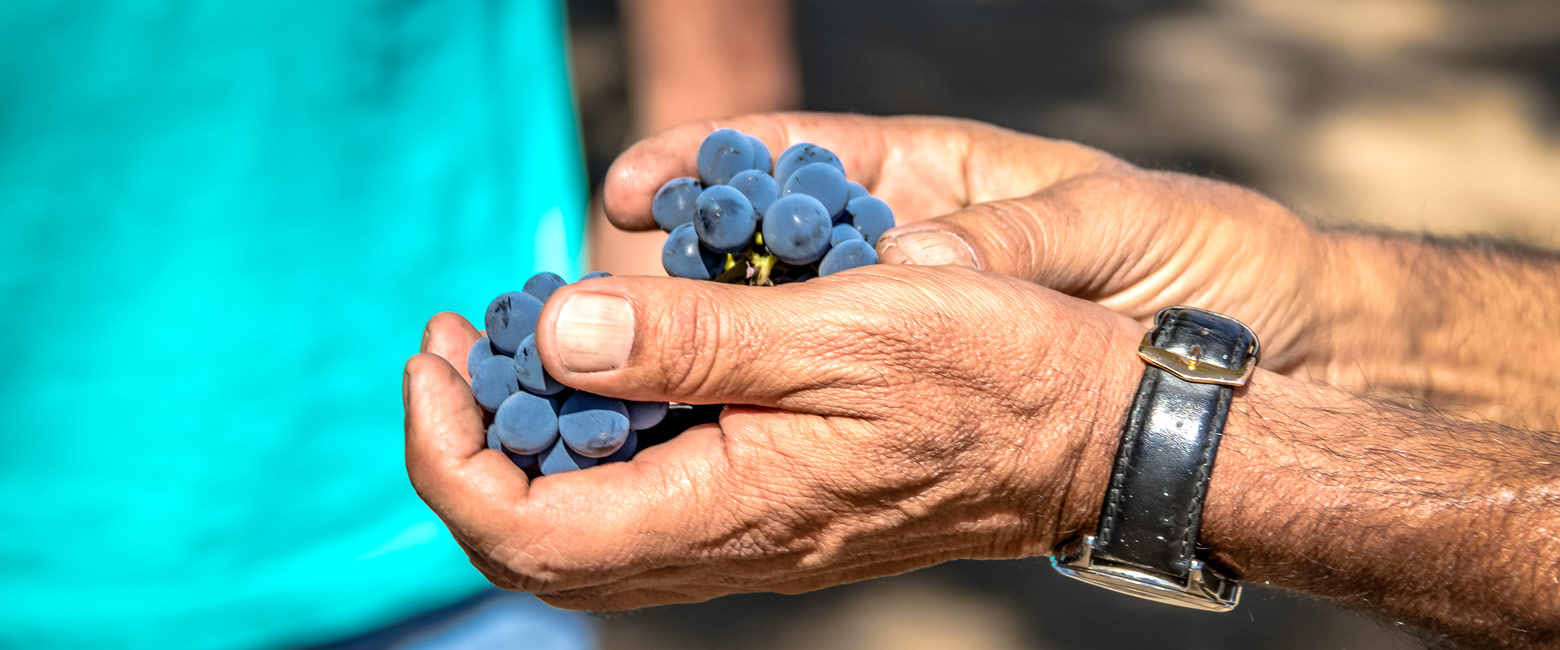 let us know your thoughts on Chile and we will help you create the perfect trip