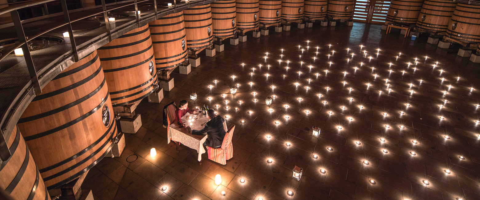 let us know your thoughts about Chile and we will help you create the perfect safari