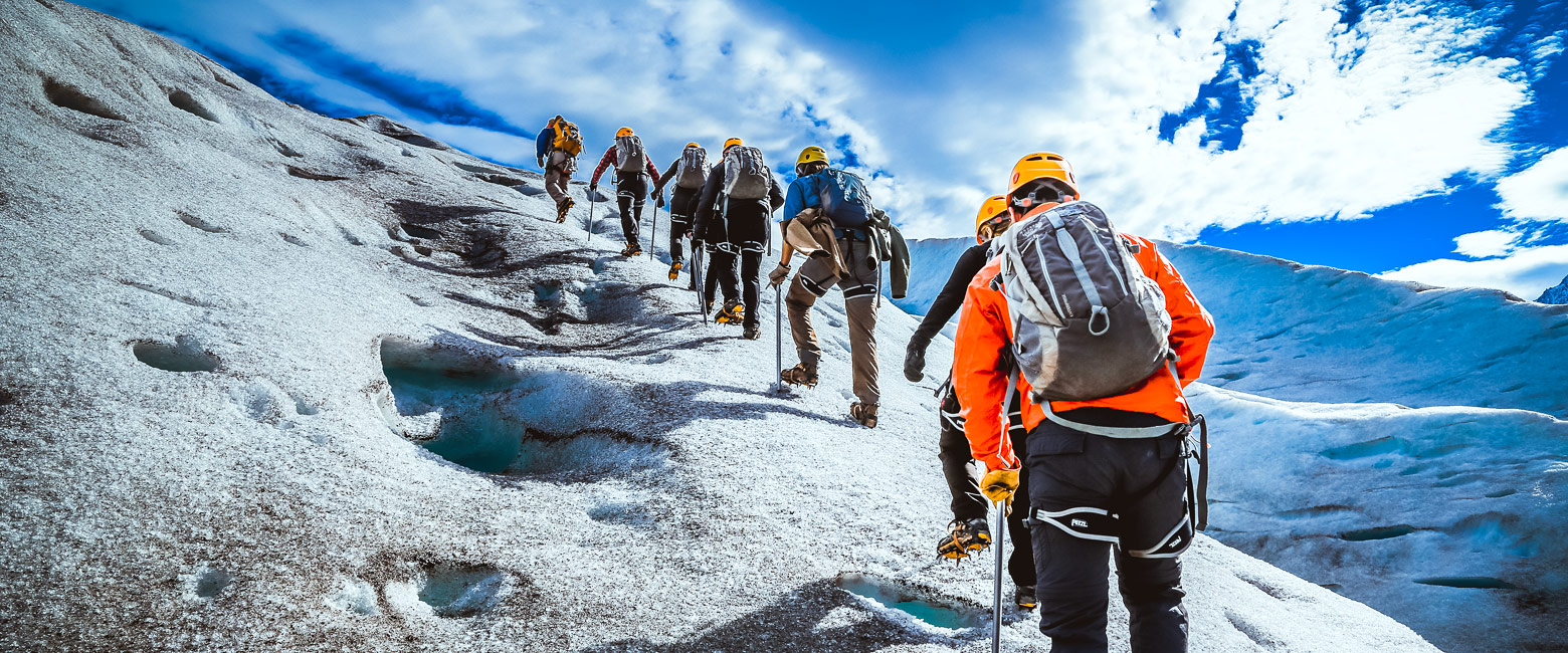 let us know your thoughts about Chile and we will help you create the perfect safari 