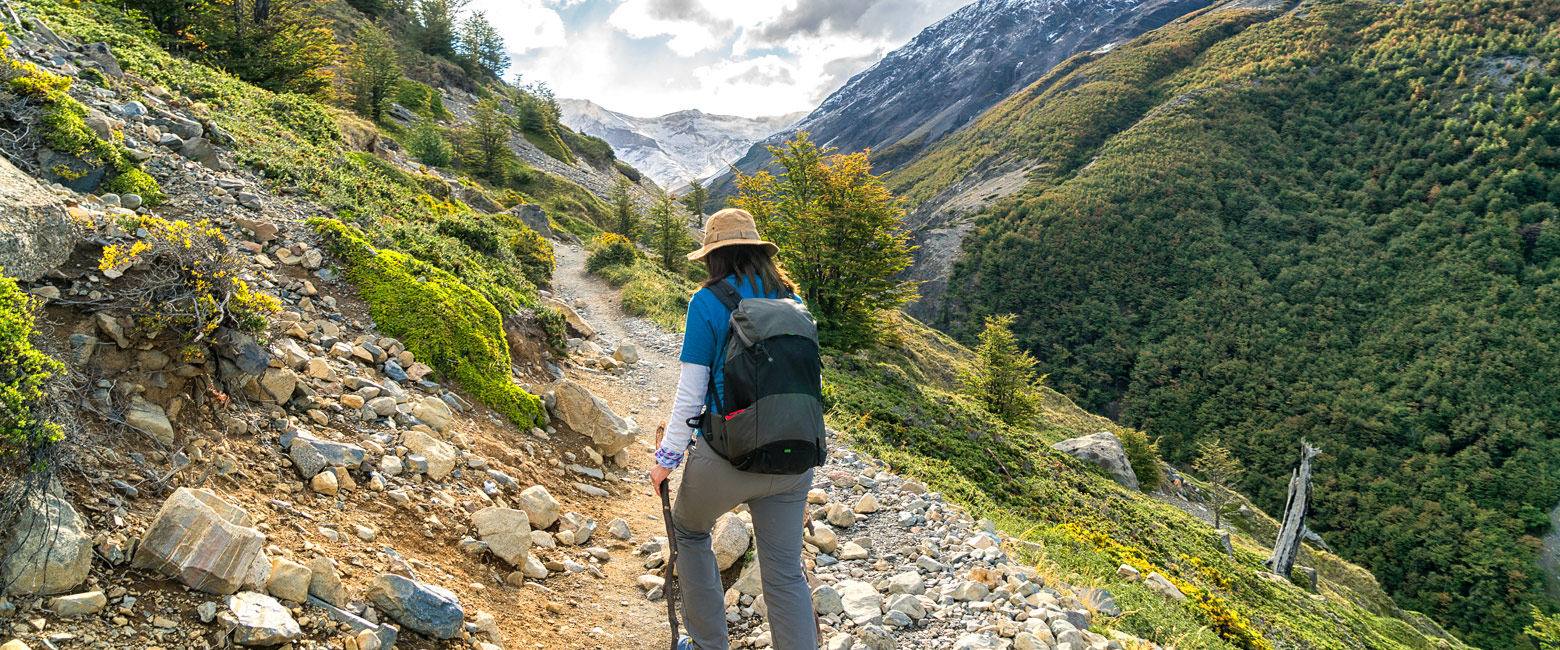 let us know your thoughts about Chile and we will help you create the perfect safari