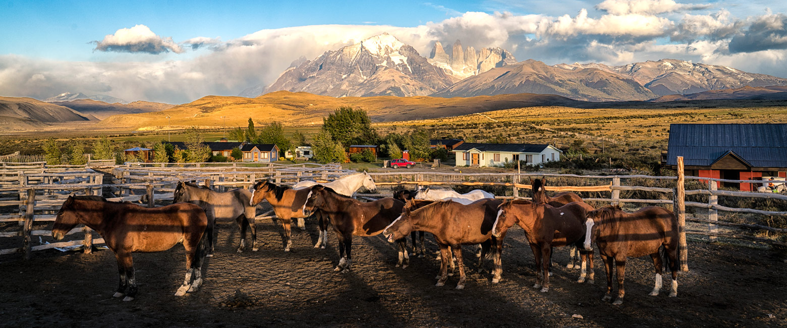 let us know your thoughts about Chile and we will make sure to deliver the perfect safari