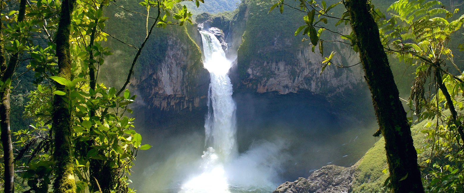 is a tropical cloud forest in the north of Ecuador 