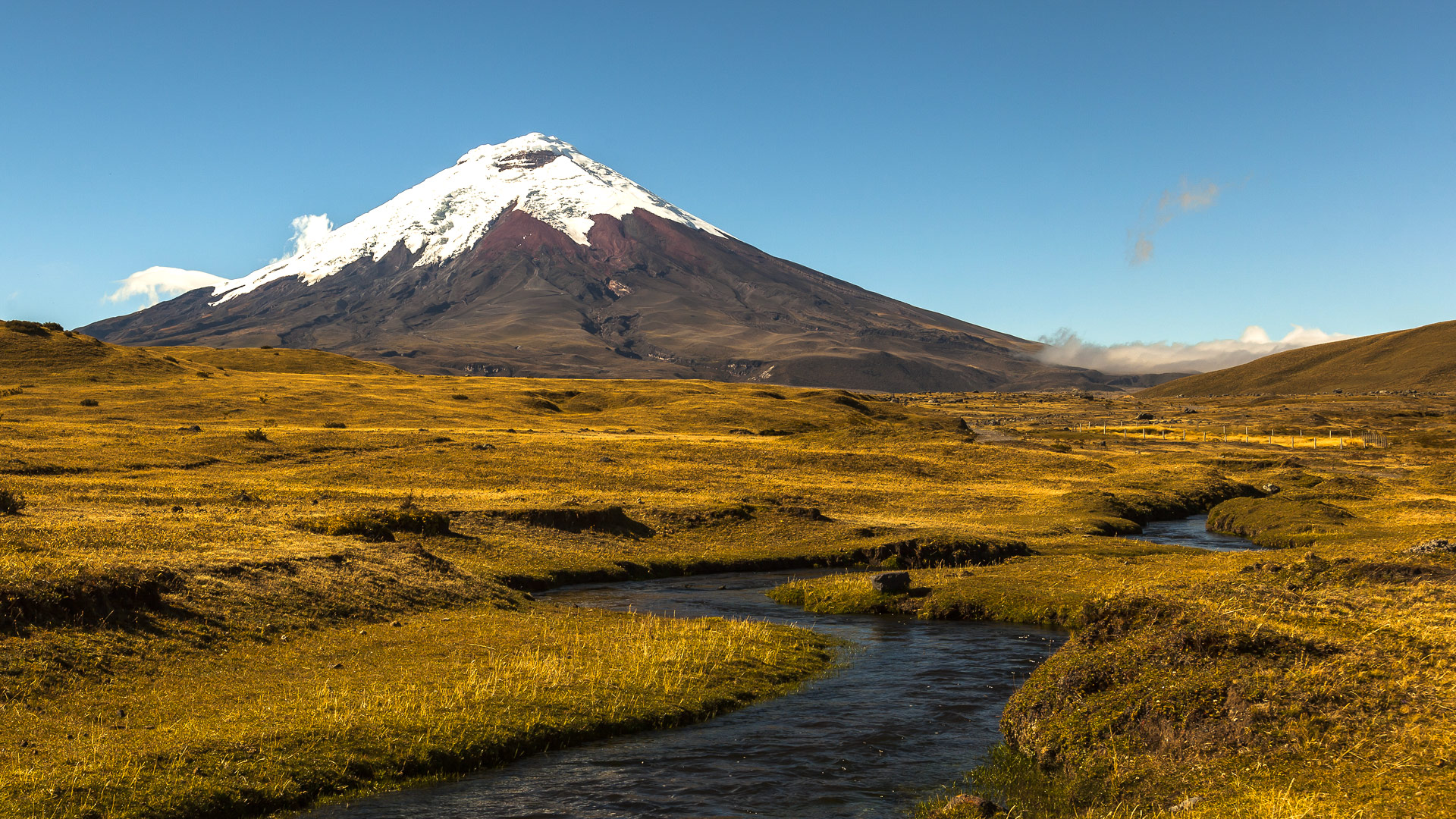 Safari in Cotopaxi