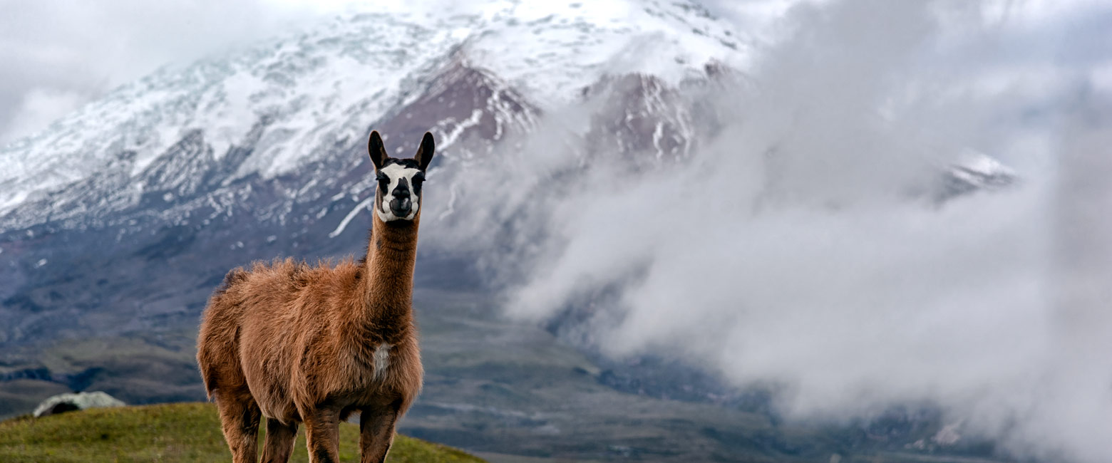 is a massive volcano to the south of Quito 
