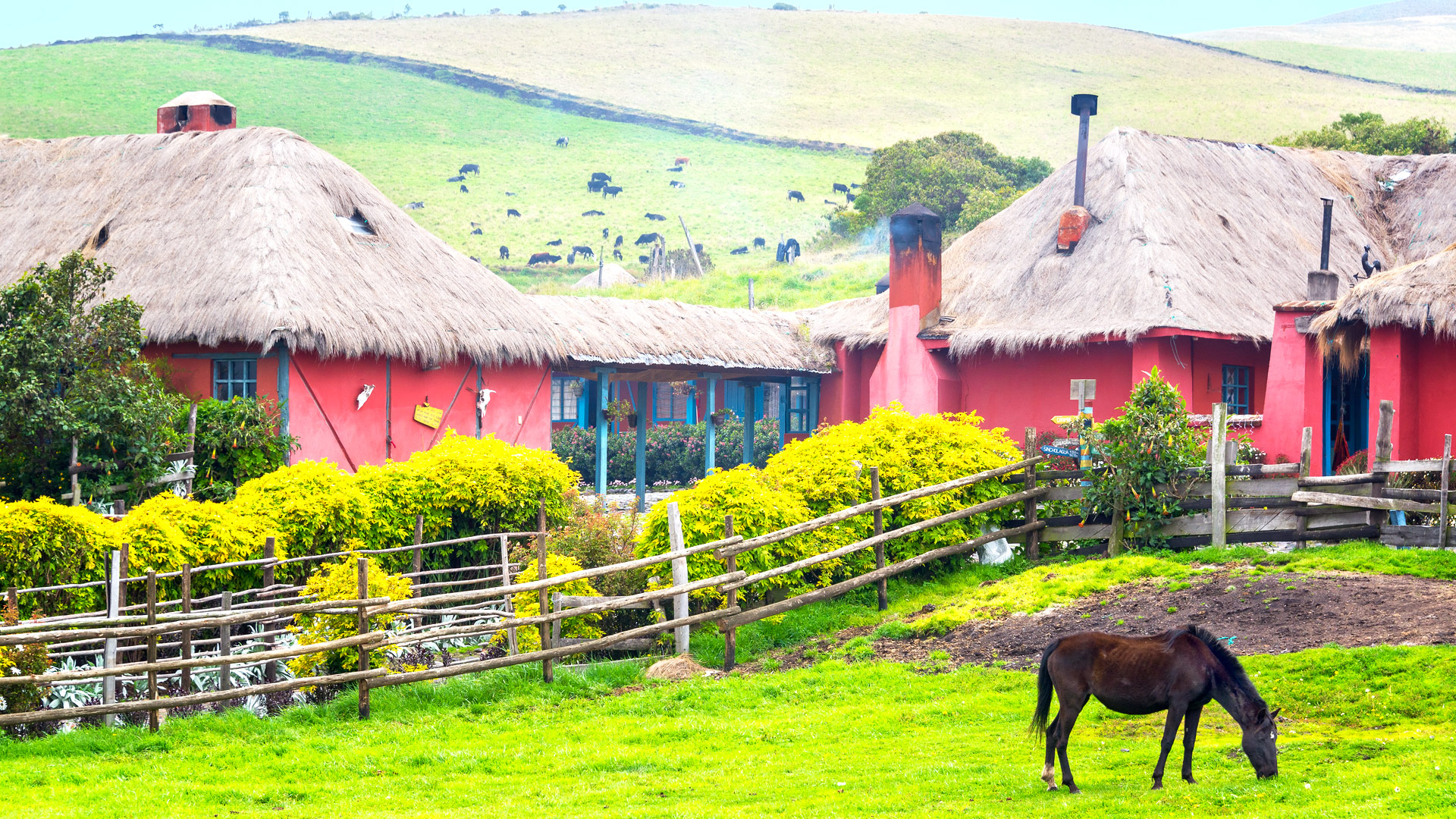 Hacienda El Porvenir