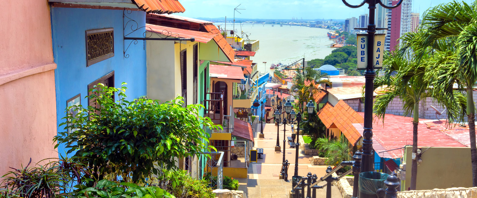 let us know your thoughts about Ecuador and we will help you create the perfect trip 