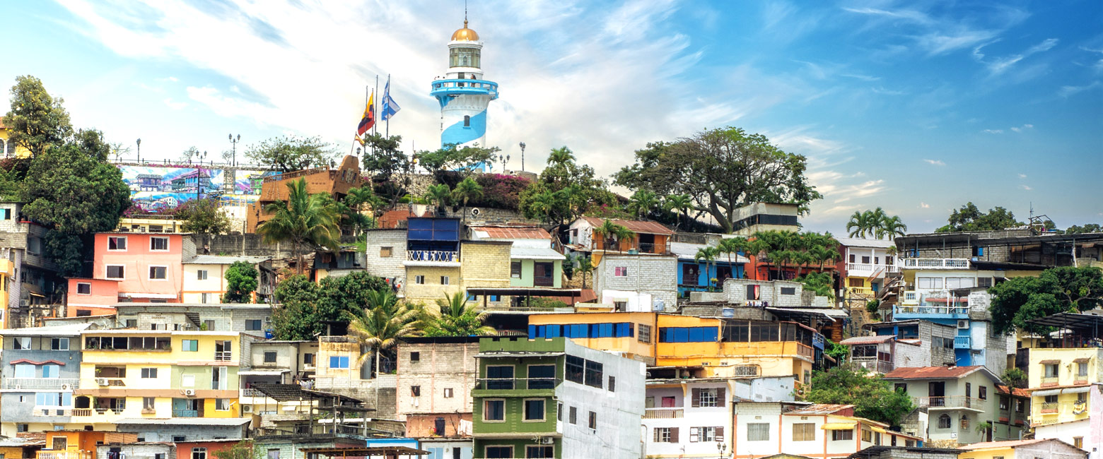 let us know your thoughts about Ecuador and we will help you create the perfect safari