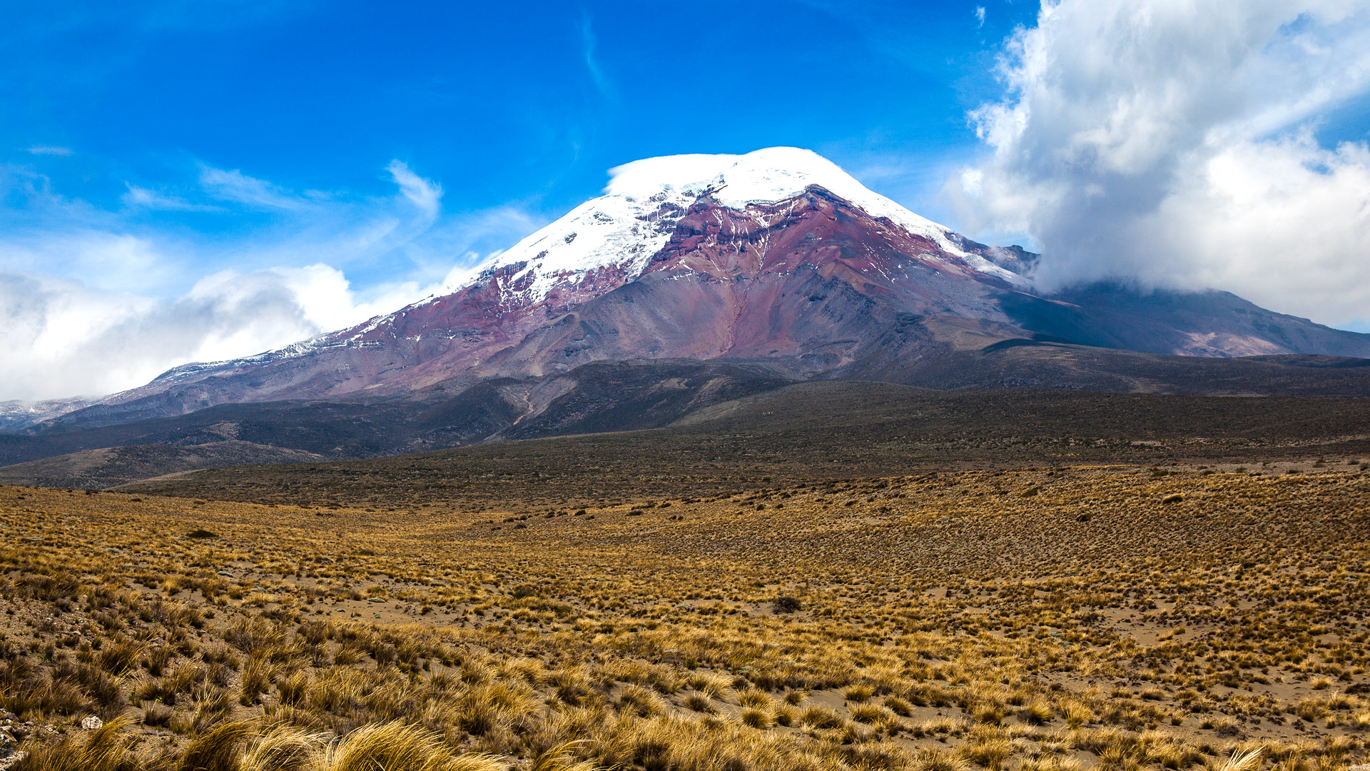 Safari to Riobamba