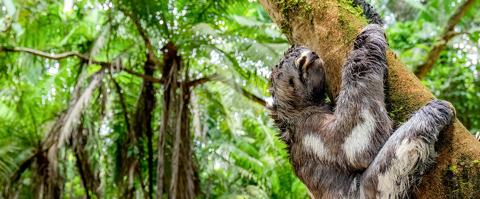 let us know your thoughts about Ecuador and we will help you create the perfect trip