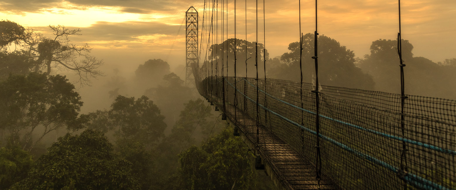 is a high quality property in the Yasuni Amazon area 