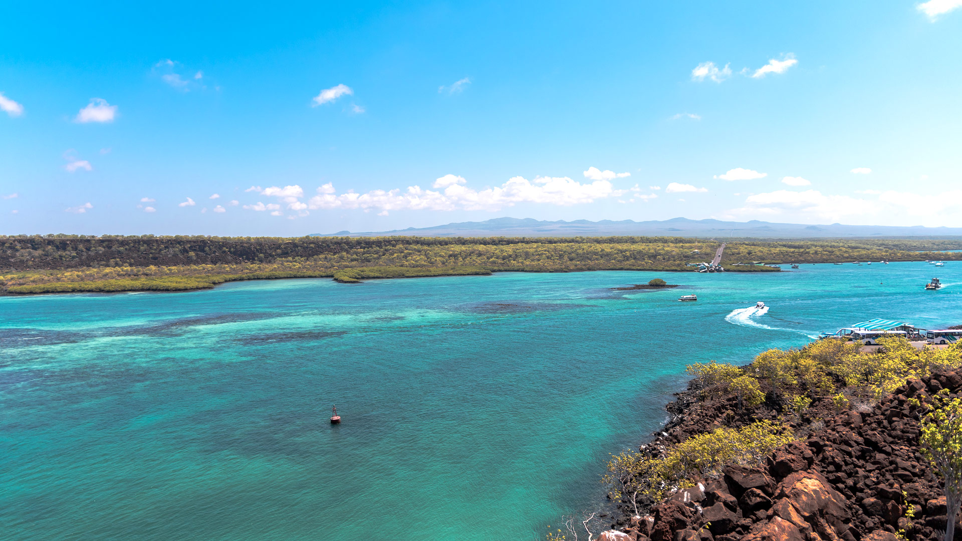 Safari to Isla Baltra