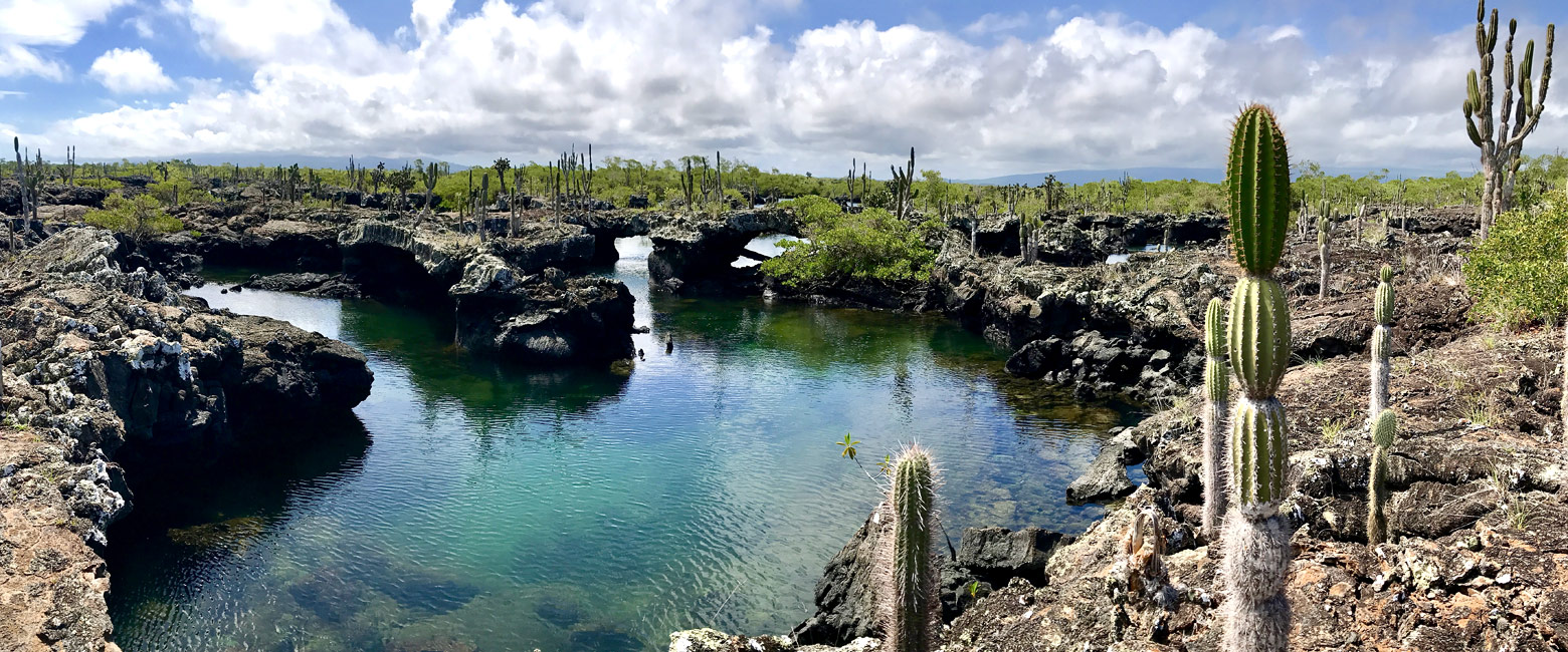 let us know your thoughts about Galapagos and we will help you create the perfect safari