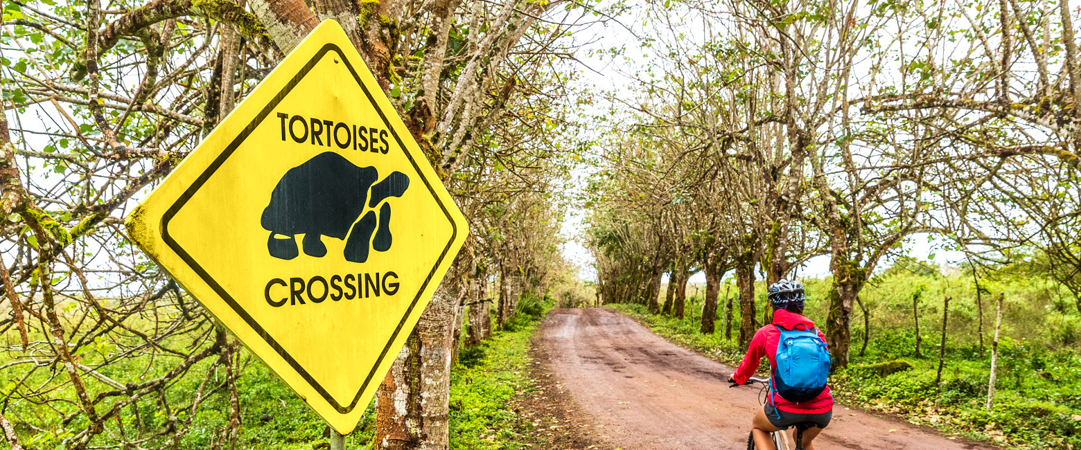let us know your thoughts about Galapagos and we will help you create the perfect safari