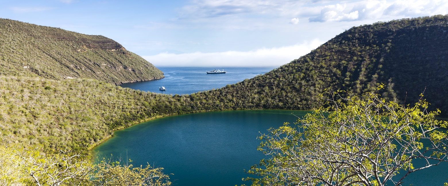 let us know your thoughts about Galapagos and we will help you create the perfect safari