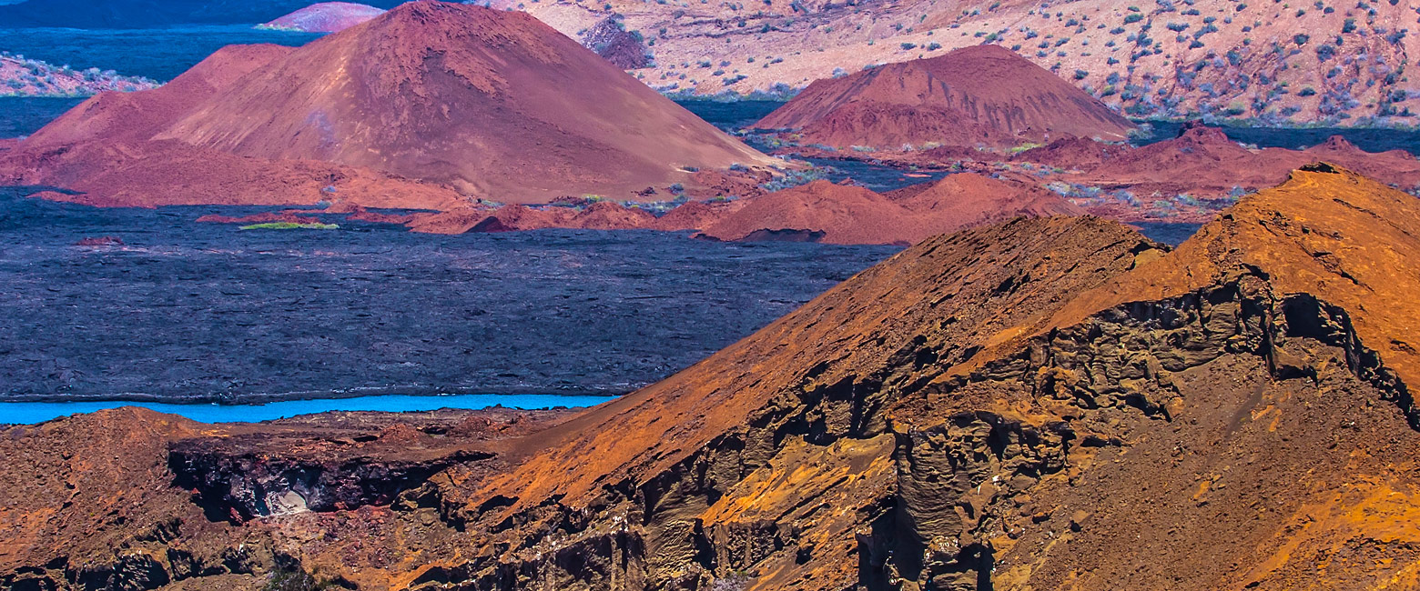 let us know your thoughts about Galapagos and we will help you create the perfect trip 