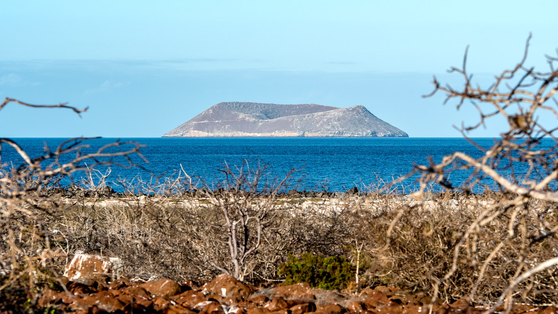 Safari to Isla Daphne Major