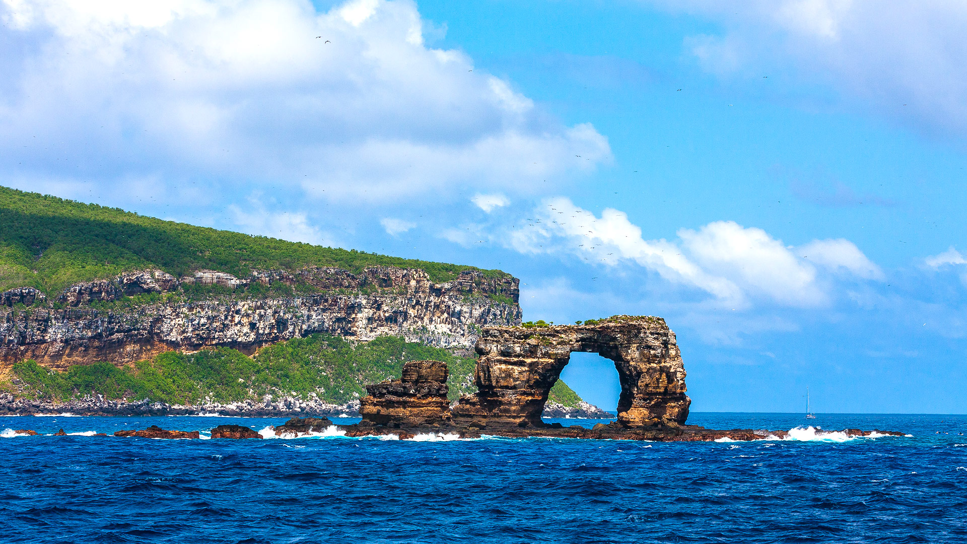 Safari to Isla Darwin