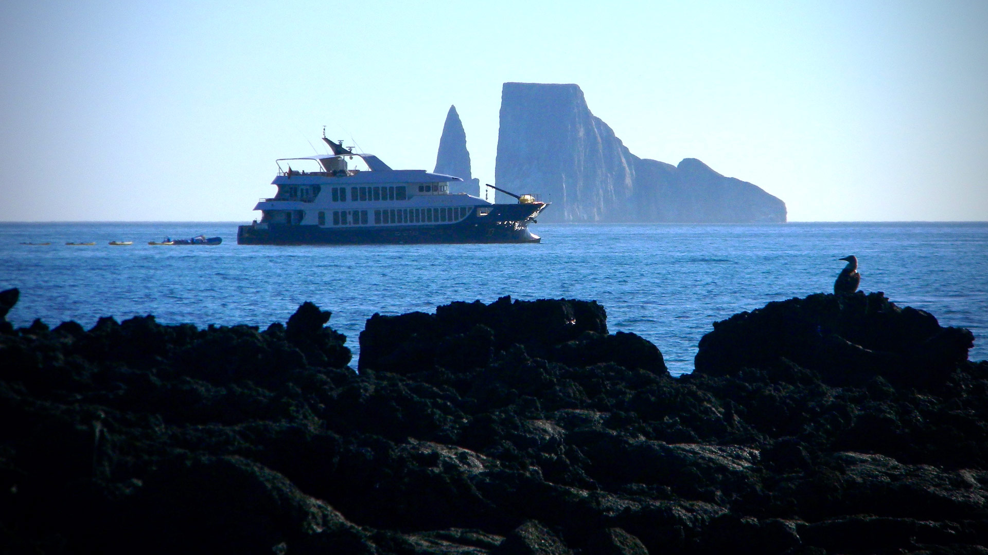 MV Origin 14AB