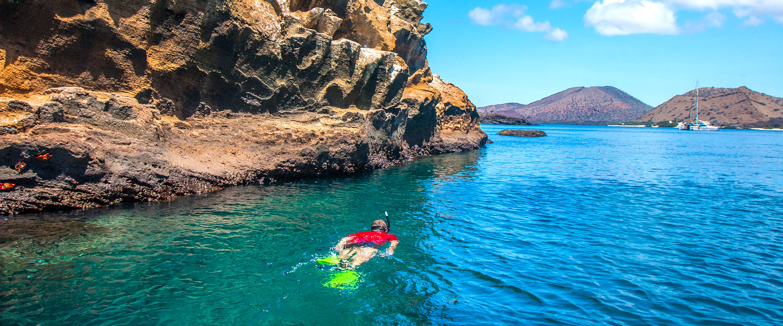 let us know your thoughts about Galapagos and we will help you create the perfect safari 