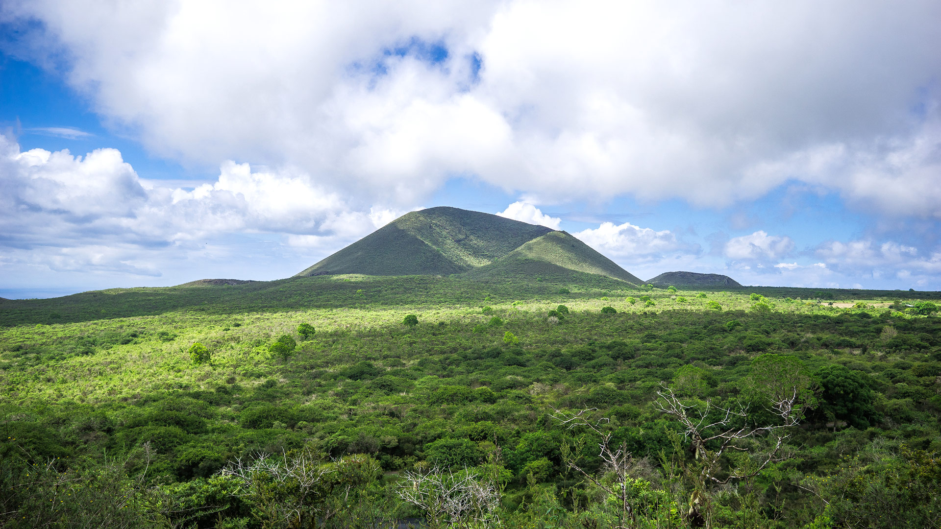 Safari to Isla Floreana