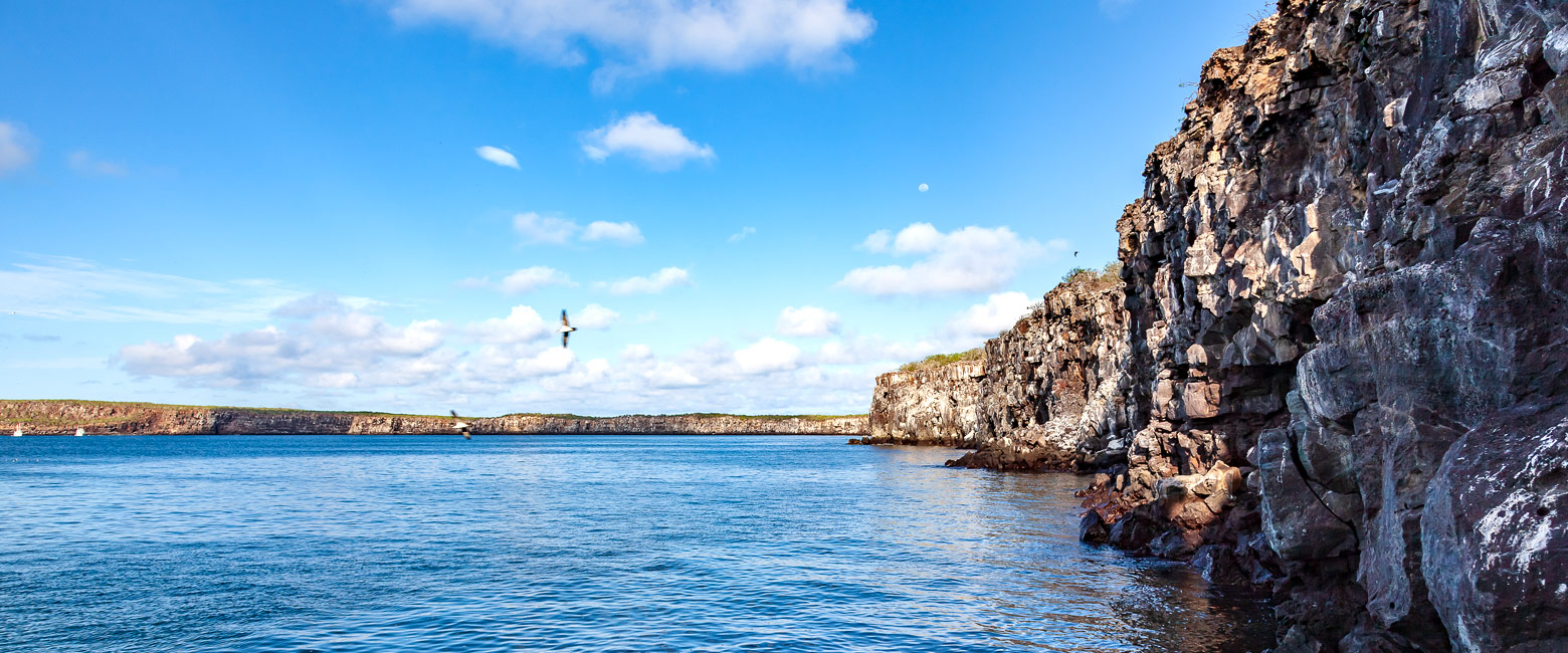 let us know your thoughts about Galapagos and we will help you create the perfect trip 