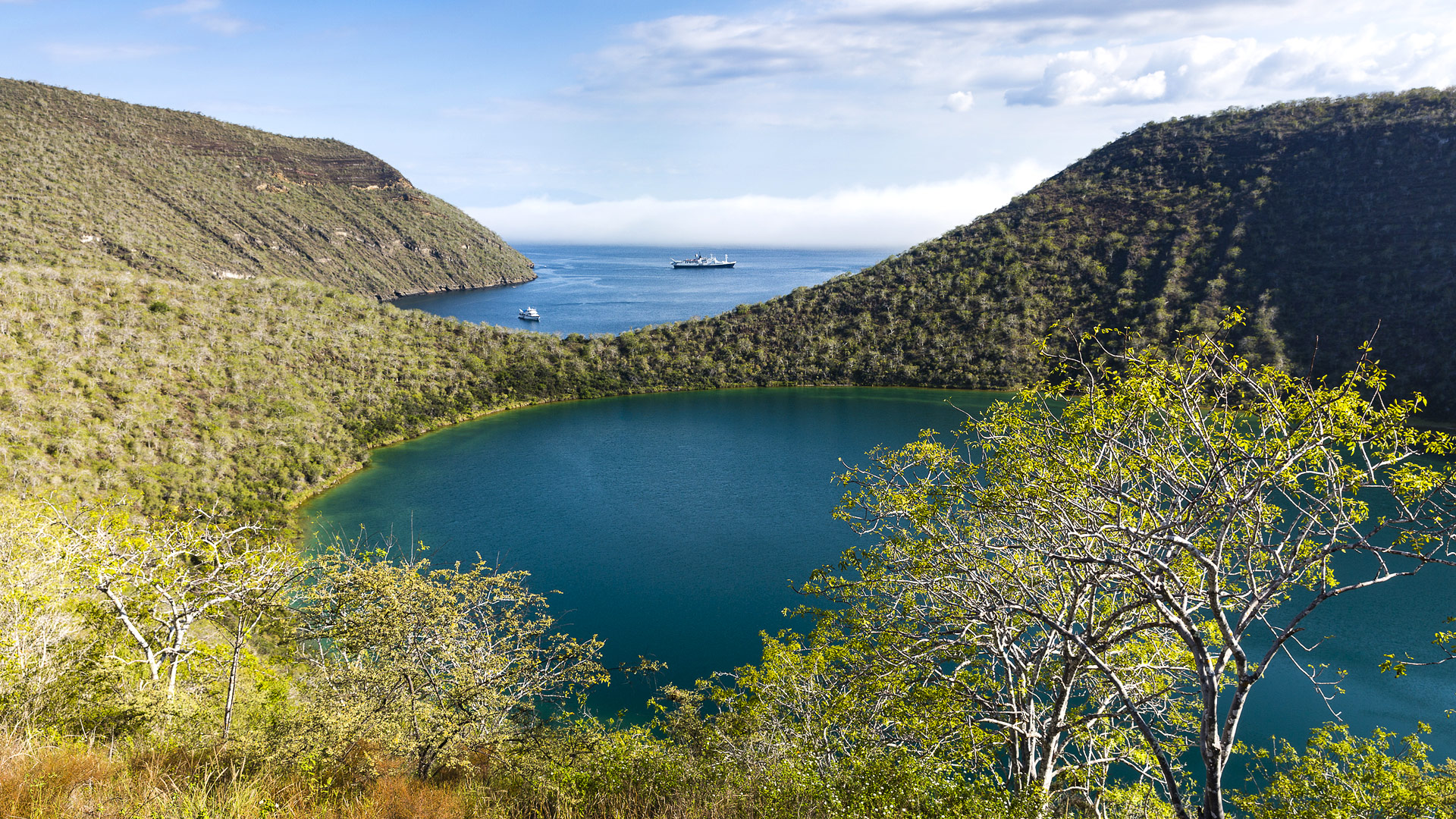 Safari to Isla Isabela