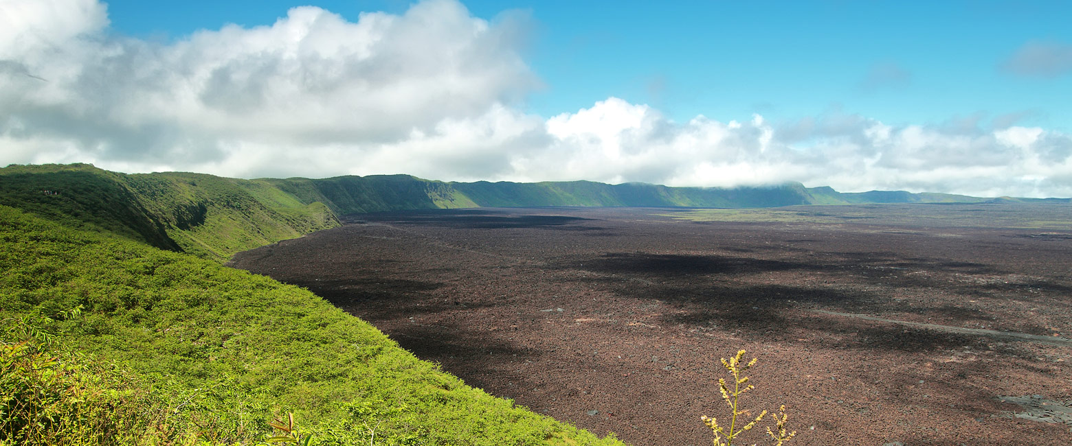 let us know your thoughts about Galapagos and we will help you create the perfect trip 