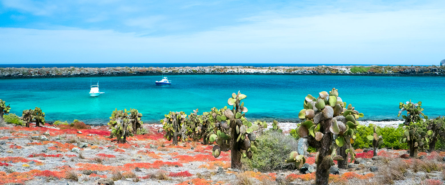 is the main central island of the Galapagos 