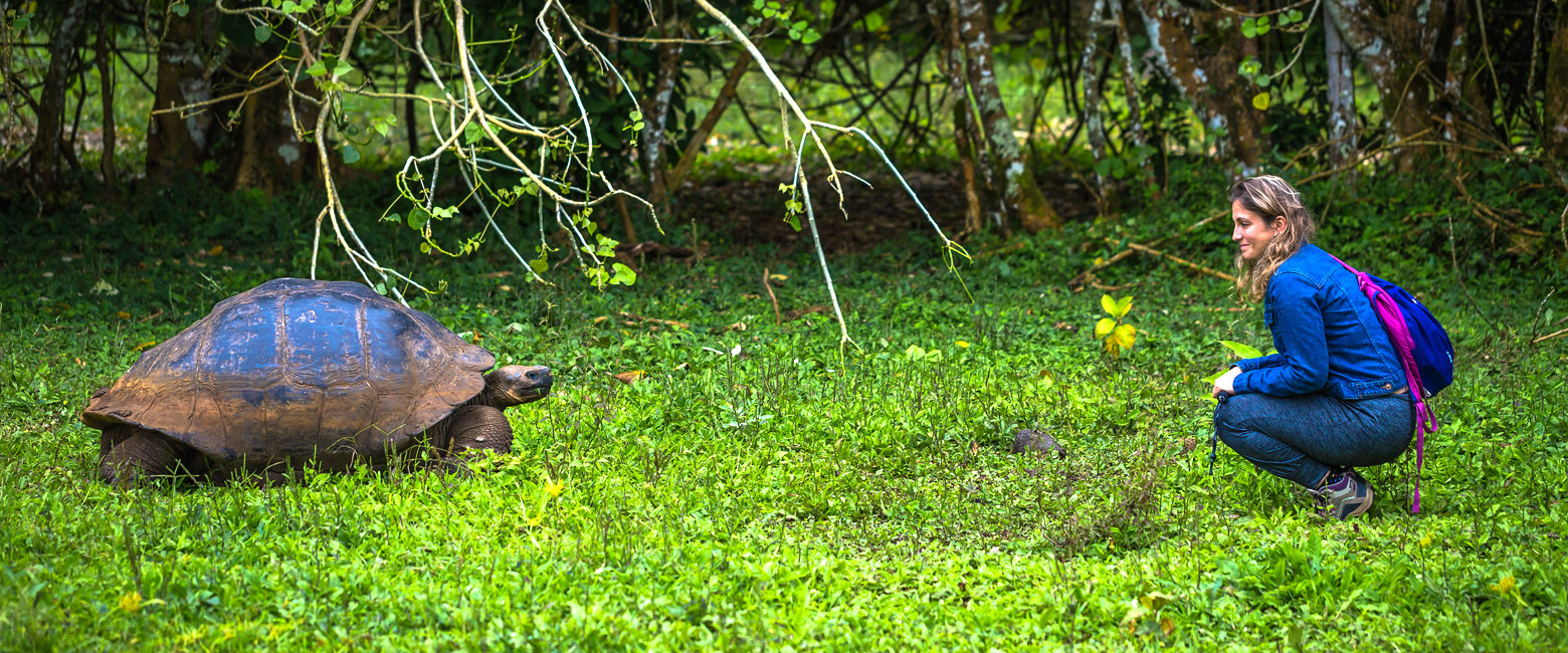 let us know your thoughts about Galapagos and we will help you create the perfect safari