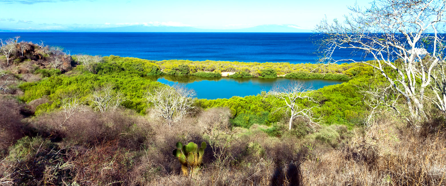 is a fascinating island in northwest Galapagos 