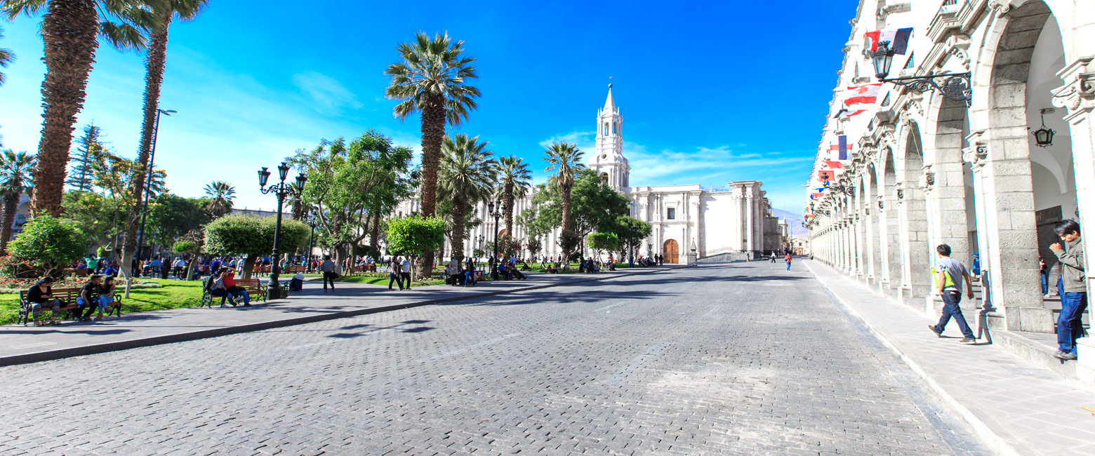 let us know your thoughts about Peru and we will help you create the perfect safari 