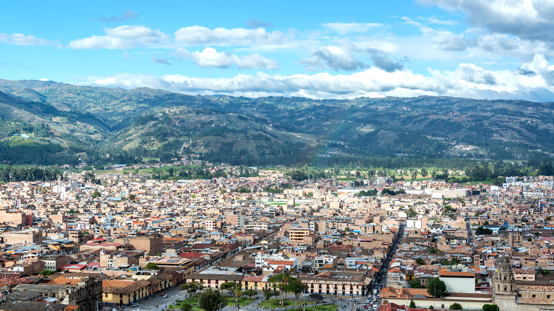 Safari to Cajamarca