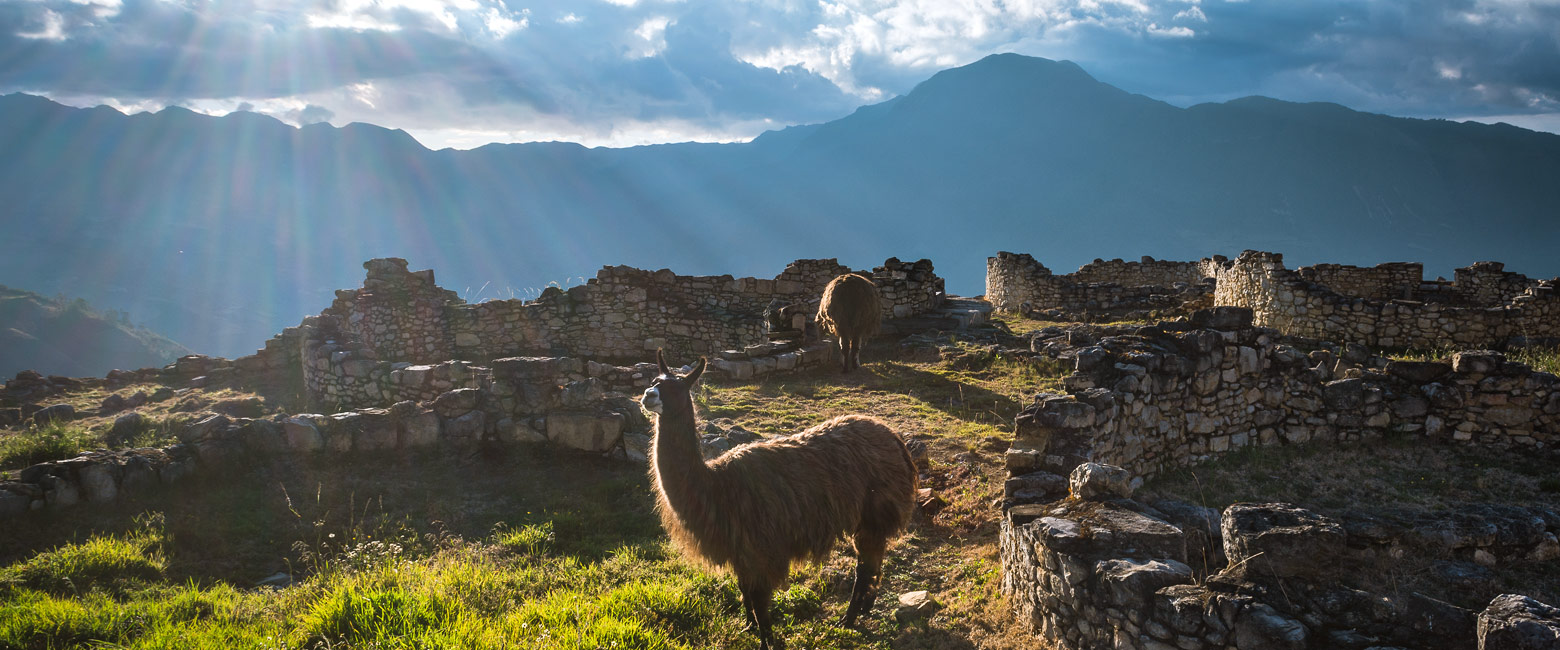 let us know your thoughts about Peru and we will help you create the perfect trip 