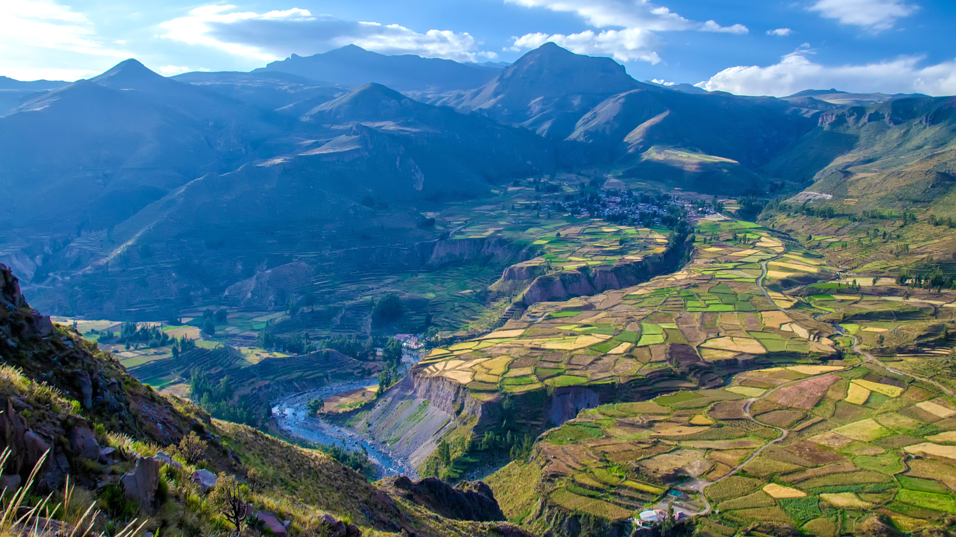 Safari in Colca