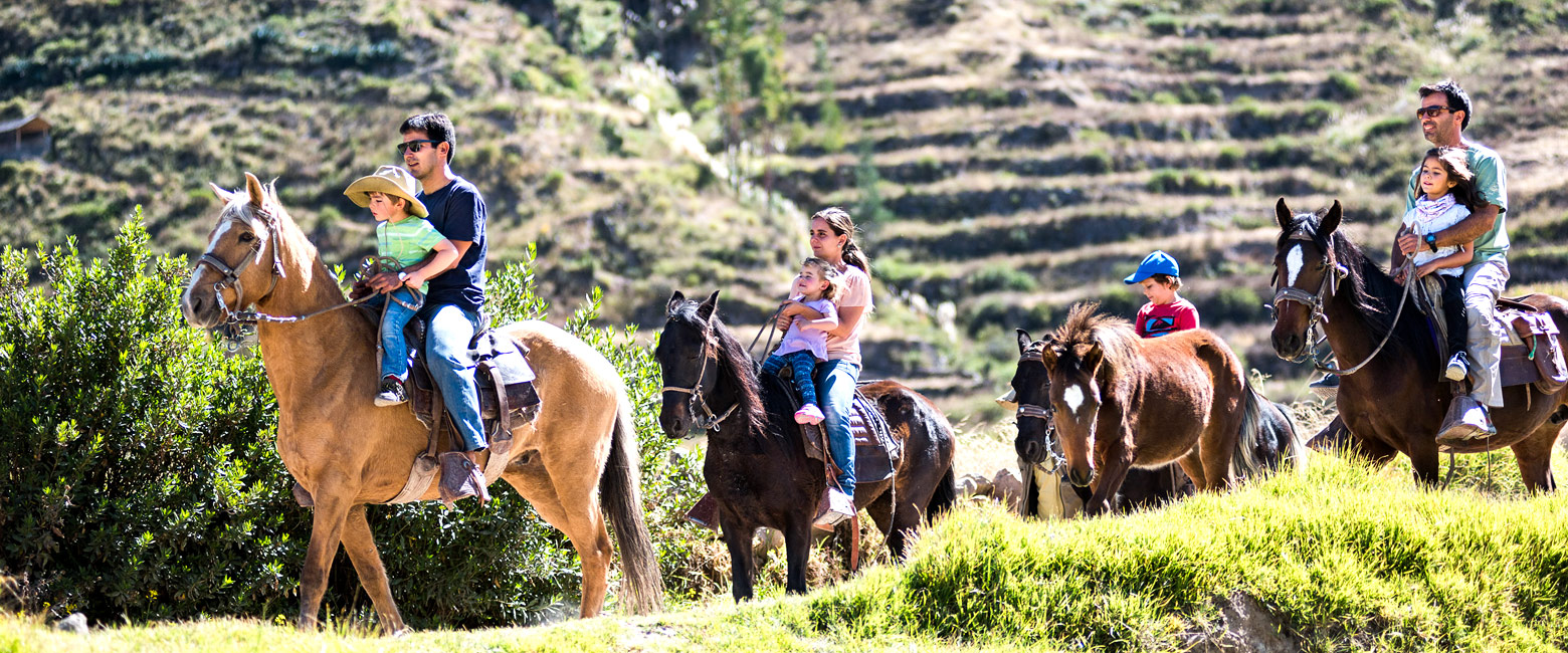 let us know your thoughts about Peru and we will help you create the perfect trip 