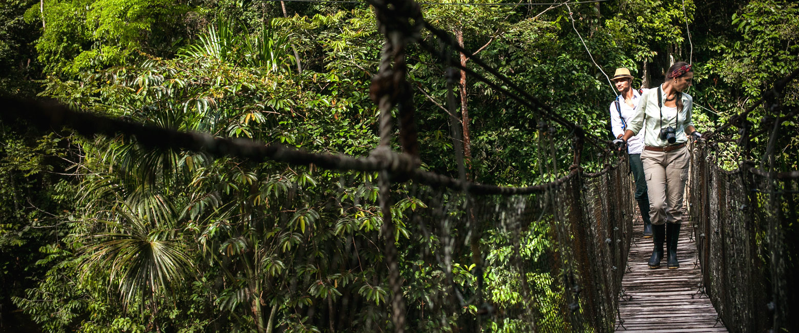 let us know your thoughts about Peru and we will help you create the perfect safari