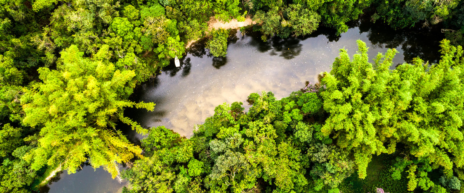 let us know your thoughts about Peru and we will help you create the perfect safari