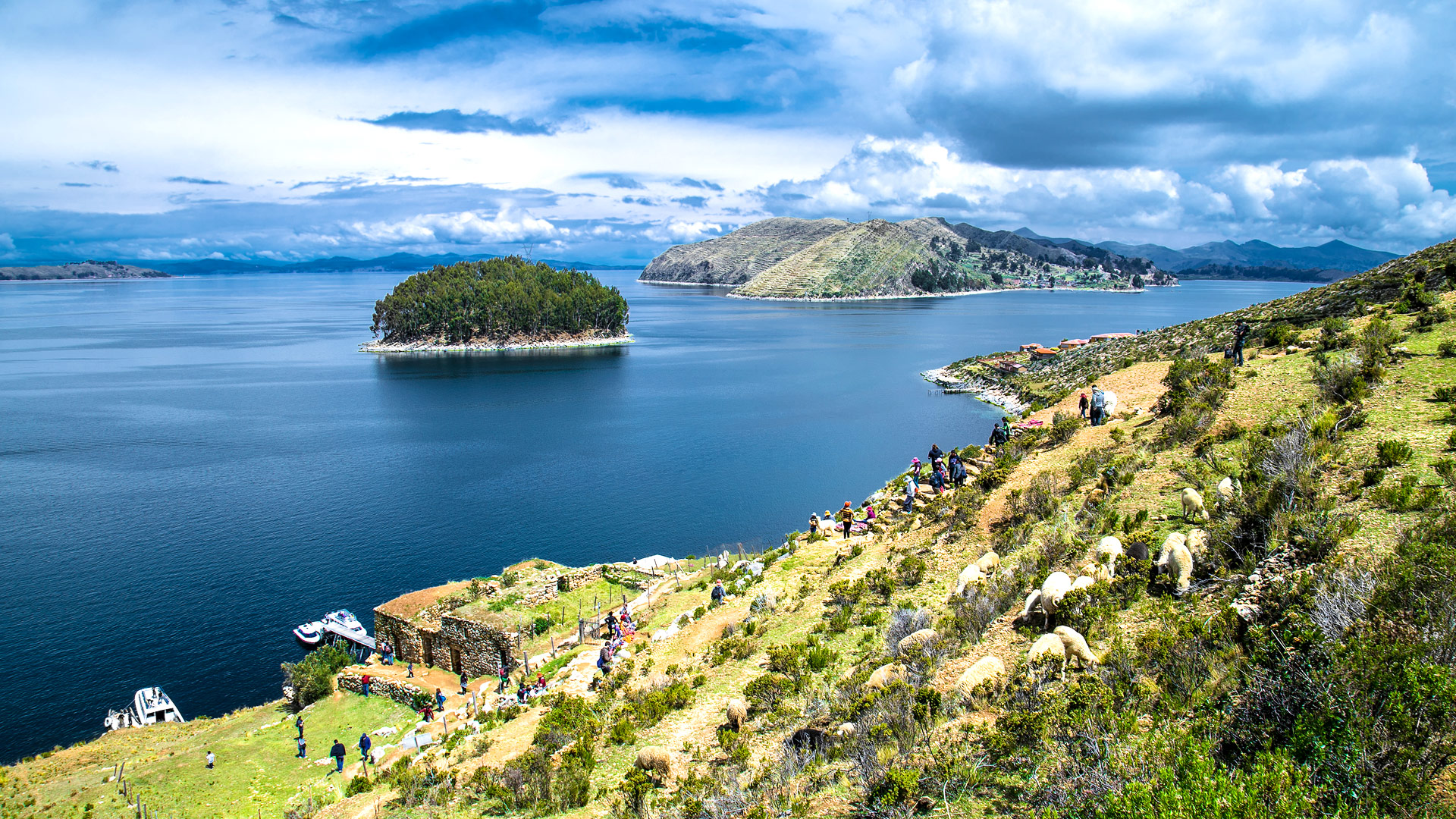 Safari to Lago Titicaca