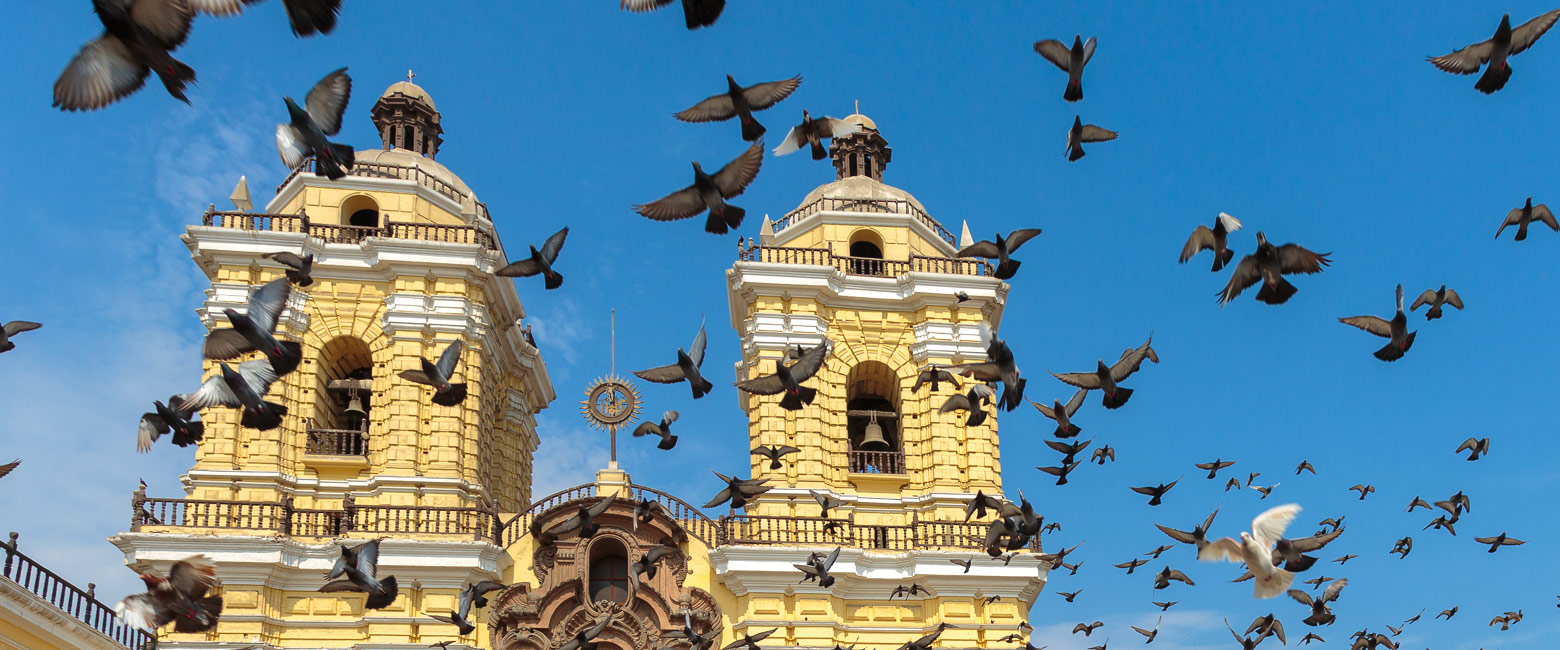 let us know your thoughts about Peru and we will help you create the perfect safari 