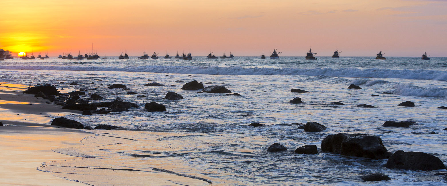 let us know your thoughts about Peru and we will help you create the perfect trip
