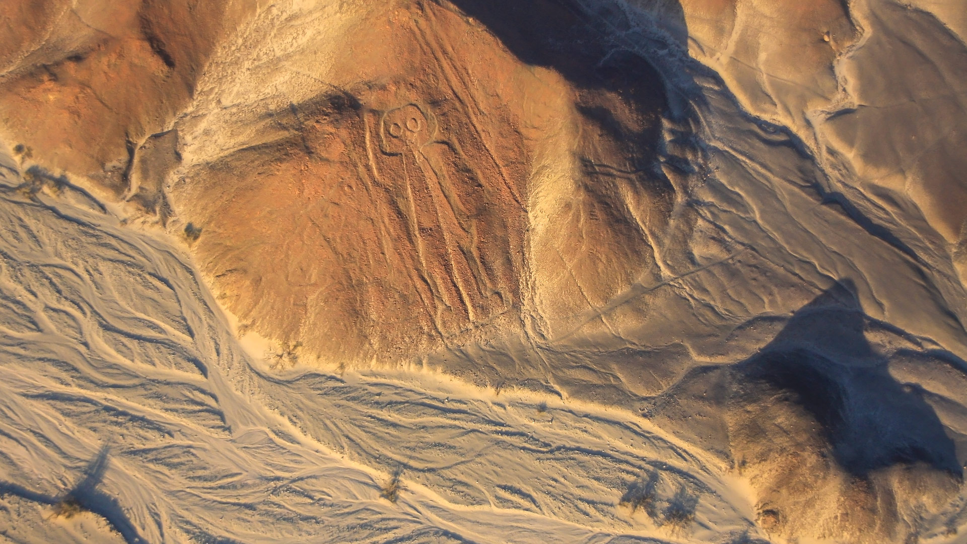 Safari to Nazca