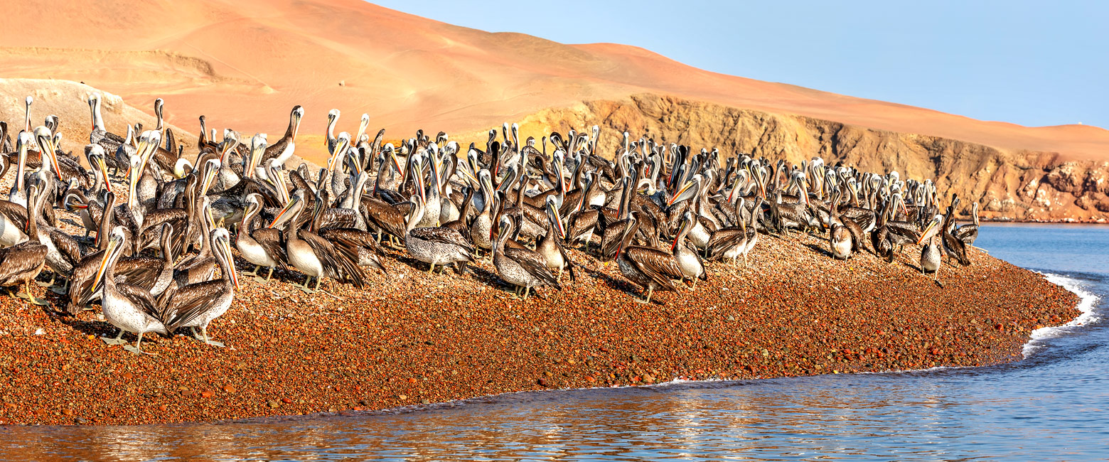 is a modern resort to the south of Lima 